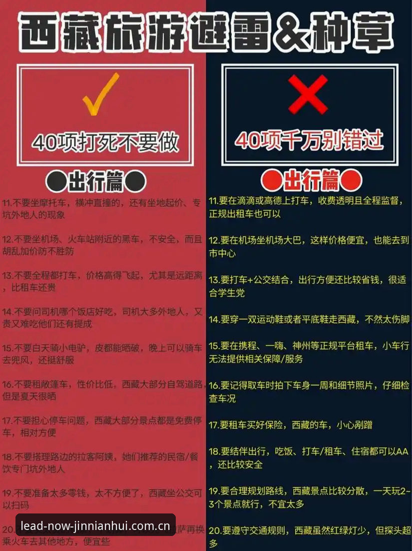 领航此刻CN首页下载操作说明：一位老用户的避坑指南